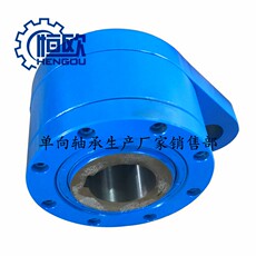 Сцепление 非接触逆止器 nf100 nfa100 带式输送机止退器 Constant/Europe