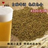 Домашнее пиво, ячменный солод, пшеничный солод, хмель, дрожжи и другое ячменное солодовое сырье. Пакет рецептов крафтового пива.