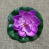 10cm mô phỏng hoa sen mô phỏng hoa lily nước trang trí cảnh quan hoa nhảy đạo cụ hoa bể cá nổi cây xanh - Hoa nhân tạo / Cây / Trái cây cây hoa mai giả Hoa nhân tạo / Cây / Trái cây