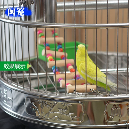 Fujian Cage Special Parrot Toy Toig