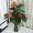 Cây giả hoa anthurium hoa giả chậu trồng cây sàn lớn cây xanh phòng khách trong nhà hoa trang trí mô phỏng cây nhựa hoa - Hoa nhân tạo / Cây / Trái cây cây giả trang trí phòng khách