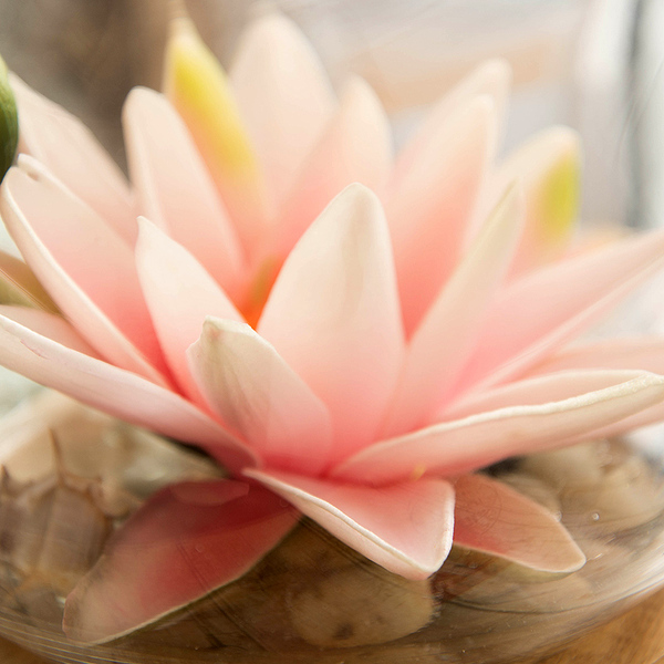 光影居 光影居 睡莲花艺 高仿真花 假花 装饰花 客厅 餐桌 摆件 家居