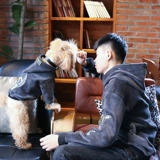 Тедди Померанский Корги Кот одежда осень и зимние щенки Толстовка питомец