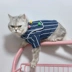 Đại học gió mèo quần áo mùa xuân và mùa hè mỏng Teddy Bomei chó nhỏ chống lông quần áo thú cưng thủy triều - Quần áo & phụ kiện thú cưng phụ kiện cho chó poodle Quần áo & phụ kiện thú cưng