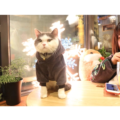 Оригинальная розовая вышитая домашняя одежда для питомца