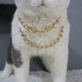 Ожерелье Большого Брата ~ Супер полишные собаки для питомца и кошачья золотая цепочка