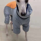 Демисезонный утепленный ветрозащитный жилет, осенний сезон