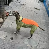 Демисезонный утепленный ветрозащитный жилет, осенний сезон