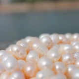 Натуральная жемчужная пудра, маска для лица, отбеливающая осветляющая маска-пудра, наружное применение, анти-акне, осветление пигментных пятен