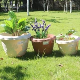 Ali Flowl круглый цветочный горшок № 4-14 Многолетний горшок с маленьким цветочным горшком Матовая текстура рельеф