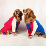 Tide Brand Big Dog Одежда плюс бархатные свитера, золотые рераадс, лабрадо Аляска Средняя большая собака с четырьмя футболами Осень и зима