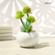 Bắc Âu giả hoa mô phỏng cây mọng nước giả cây mọng nước nhà cửa hàng cây xanh trang trí nhựa trang trí hoa bonsai - Trang trí nội thất