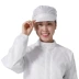 Ưu đãi đặc biệt mũ chống tĩnh điện màu xanh mũ bảo hộ lao động chống bụi mũ lưỡi trai công nhân nam nữ xưởng sạch bụi mũ lưới trắng nón trùm y tế 