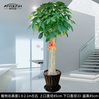 1,9-2,1 метра крупномасштабного [Black Awards Cup Basin] ограничено тем же городом