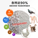 Птичья раковина кормление курицы куриное яйцо есть мягкая раковина яиц куриные голубь.