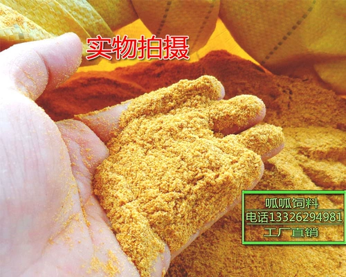 Порошок кукурузного белка 60 белок 100 фунтов курицы, свинины, крупного рогатого скота, овец, водного корма для собак добавить hwjr9axewx