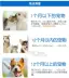 Mới yêu thích Kang dog cat sữa bột chó con mèo sữa bột dinh dưỡng thú cưng sữa bột sơ sinh chó con sữa bột để gửi chai - Cat / Dog Health bổ sung Cat / Dog Health bổ sung