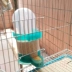 Pigeon Uống nước Ấm Bồ câu cung cấp Vẹt Starling Tự động cho ăn quá khổ - Chim & Chăm sóc chim Supplies lồng trần cu gáy Chim & Chăm sóc chim Supplies