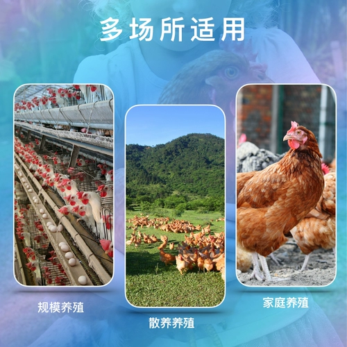 灭鸡 虱子 乐鸡虱 净 鸡用 禽用 杀虫剂 治 鸡虱子 药 鸡螨虫 药鸡 跳蚤药