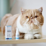 [Предпочтительно] Elkin Omnix Eye Cat Eye Pinosaurus-Supplies