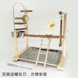 Игрушка попугая тигр пион -птичья стойка xuanfeng xiotai станция Shelzc Peppercurry Деревянная станция