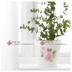 IKEA Rosie Papo Lọ Hoa Màu Xanh Lá Cây Trồng Làm Vườn Mô Phỏng Flower Vase Flower Xử Lý Ellipse Hoa giỏ hoa treo tường Vase / Bồn hoa & Kệ