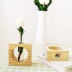Sáng tạo đơn giản khung gỗ thủy canh bình văn phòng phòng khách cây xanh hoa thủy tinh ống nghiệm trang trí hoa - Vase / Bồn hoa & Kệ bình cắm đào Vase / Bồn hoa & Kệ