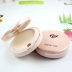 Kem dưỡng da dành cho mèo thông minh chính hãng của mèo Cat Powder Wet Wet-Use Powder Concealer cải thiện màu da