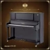 Royal Pin Basic Piano gốc Cao cấp Chơi Piano dọc Piano Chalbote Piano CP-05 casio cdp 120 dương cầm