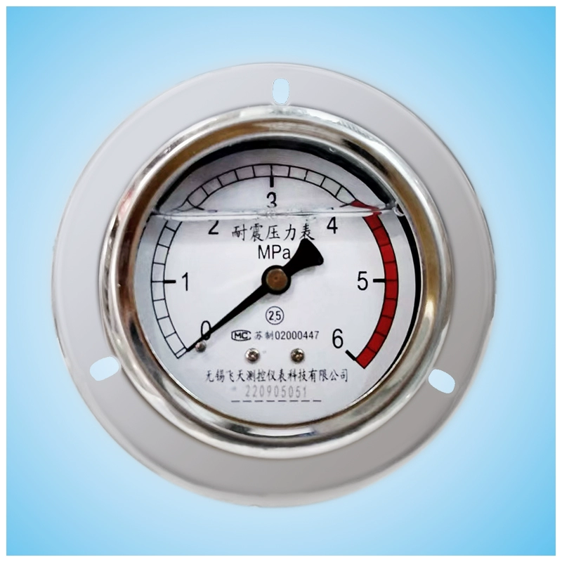 Vô Tích Feitian bán hàng trực tiếp YN60ZT III loại ZQ trục 40mpa áp suất dầu áp suất không khí chống sốc đồng hồ đo áp suất chống sốc đồng hồ áp suất âm đồng hồ áp suất nước 