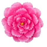 Пиони -цветочный зонтик цветы цветут процветающие танцевальные реквизиты для взрослых танцевальных сцен