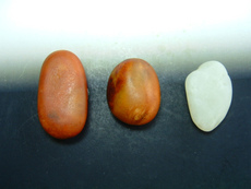 Ювелирные изделия и полуфабрикаты 虎皮籽料◆真皮子玩家青睐和田美玉◆(三包)