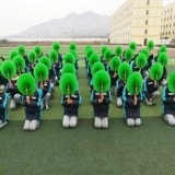 Ручная школьная школа с разноцветной фанатской школой большой группы гимнастика танцевальная хор