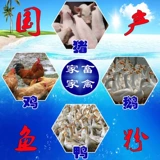 Высококачественное домашнее рыба порошковое порошок, кормление куриная утка, собаки, кошки, питомцы для свиньи добавляют кормку для рыбацких гнездов