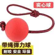 Pet dog toy cao su cắn rắn bouncy bóng với dây bouncy bóng dog cat đào tạo vui vẻ đồ chơi