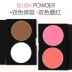 Chuyên nghiệp blush kết hợp hai màu blush tấm hai màu blush matt blush hai màu blush tấm blush blush