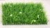 Bán hàng trực tiếp trong nhà cỏ giả với hoa nhựa cỏ mô phỏng cây xanh tường cao cỏ mã hóa ban công trang trí sân cỏ nhân tạo - Hoa nhân tạo / Cây / Trái cây