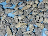 Exxorium exxorium skill baozhen*Натуральное ископаемое минеральное кристалл преподавание Simpica