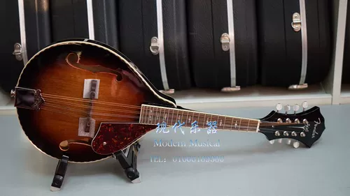 Современный музыкальный инструмент Fender Electric Sound Используйте мандангзу для взрослых детей и мужская женская электрическая коробка мандолина