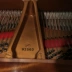 Đàn piano nhập khẩu Đức Steinway Steinway Stanway Louis XVI sử dụng đàn piano lớn - dương cầm yamaha clp 535 dương cầm