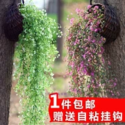 Mô phỏng chuông vàng treo trang trí cây nho trong nhà nhựa giả hoa mây treo tường treo tường cây xanh - Hoa nhân tạo / Cây / Trái cây