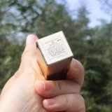 Estee Lauder восхищается помадой 340 Weiyang Color 2020 Рождество Limited Simple Simple Consted Cold Martial Arts Tube