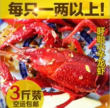 [Board Boys Lobster] Тринадцать ароматов Sciess Secret Formula Lobster