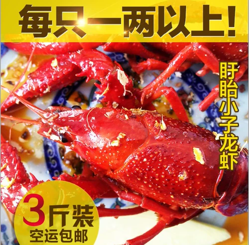 [Board Boys Lobster] Тринадцать ароматов Sciess Secret Formula Lobster