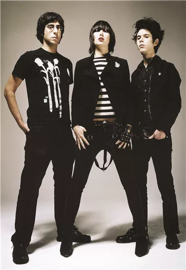 Фоторамка с изображением My Chemical Romance/SUM 41/Simple Plan/Blink-182 в стиле рок постер рисунок