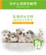 Thú cưng nhỏ chó mèo canxi viên chất lỏng canxi con chó con bổ sung canxi Bome Kejiji búp bê Youneng canxi 120ML đứng tai - Cat / Dog Health bổ sung