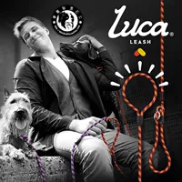 Австралия ezydog Yiji Dog Luca Road Road Card Series Direction Dog Dog Directors Peds Persom Half P