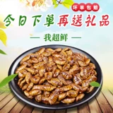 В этом сезоне свежее -бешеное шелколочное шелковое из куколку куколки маленькие коконы, плоская куколка из шелковика, сырая куколка из шелковика, золотая куколка, маленькая желтая куколка влажная шелковая червя, сухой
