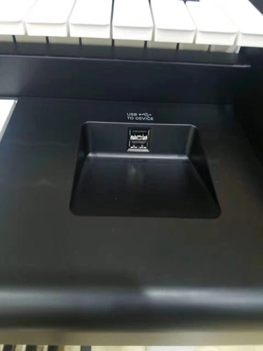 Электронный орган с двухрядным ключом ELS01C c02, двухрядный ключ для дома для взрослых, низкая цена C02