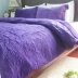 Dệt Chăn lụa giặt theo phong cách châu Âu bao gồm chăn ba mảnh trải giường xuất khẩu trải giường chăn bông đôi mùa đông - Trải giường Trải giường